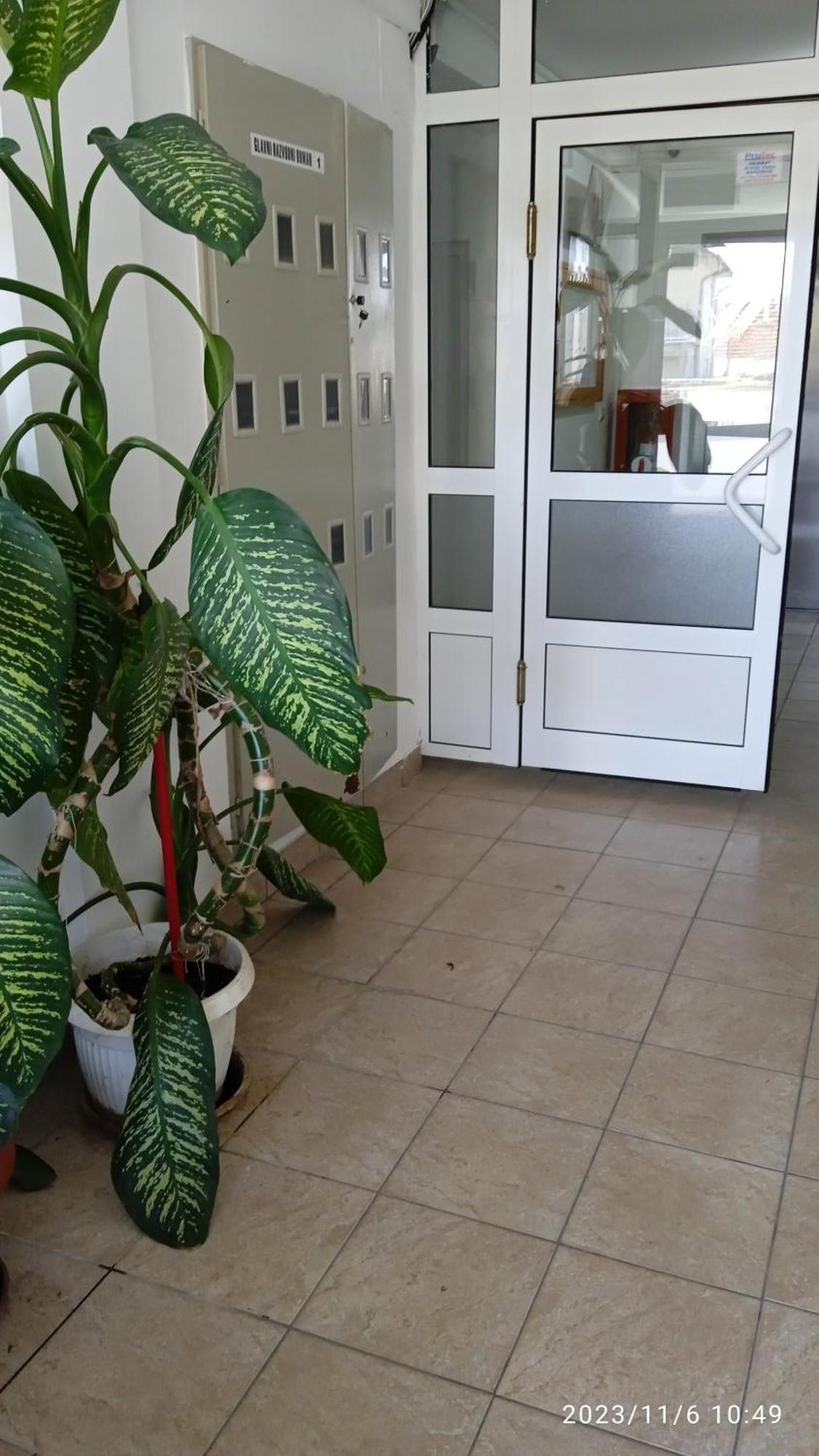 Apartman Mira Пожареваць Екстер'єр фото